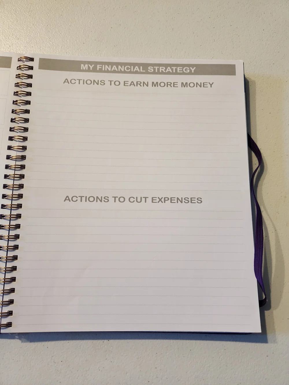 Budget Planner Notebook - Purple